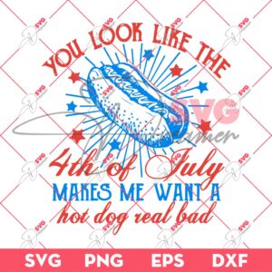 You Look Like the 4th Of July SVG PNG, Retro 4th of July SVG, Independence Day SVG PNG