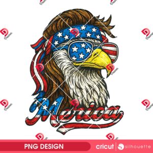 Cool Patriotic Eagle With Sunglasses PNG, Merica 4th of July USA PNG Design
