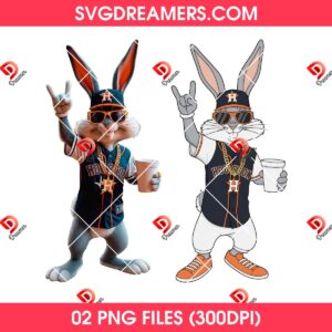 Bunny Houston Astros Baseball PNG Design