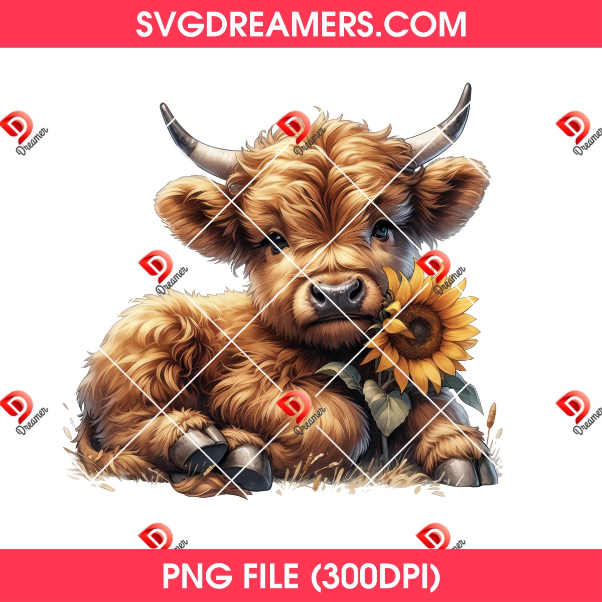 Highland Cow With Sunflower PNG Bundle 5 Highland Cow With Sunflower PNG Bundle