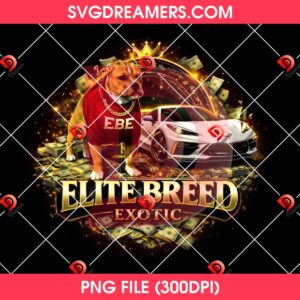 Elite Breed Exotic PNG