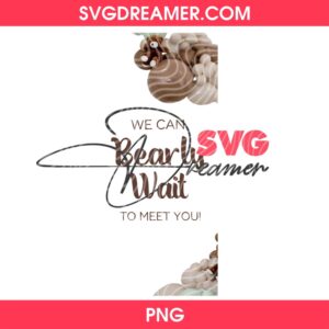 We Can Bearly Wait To Meet You PNG